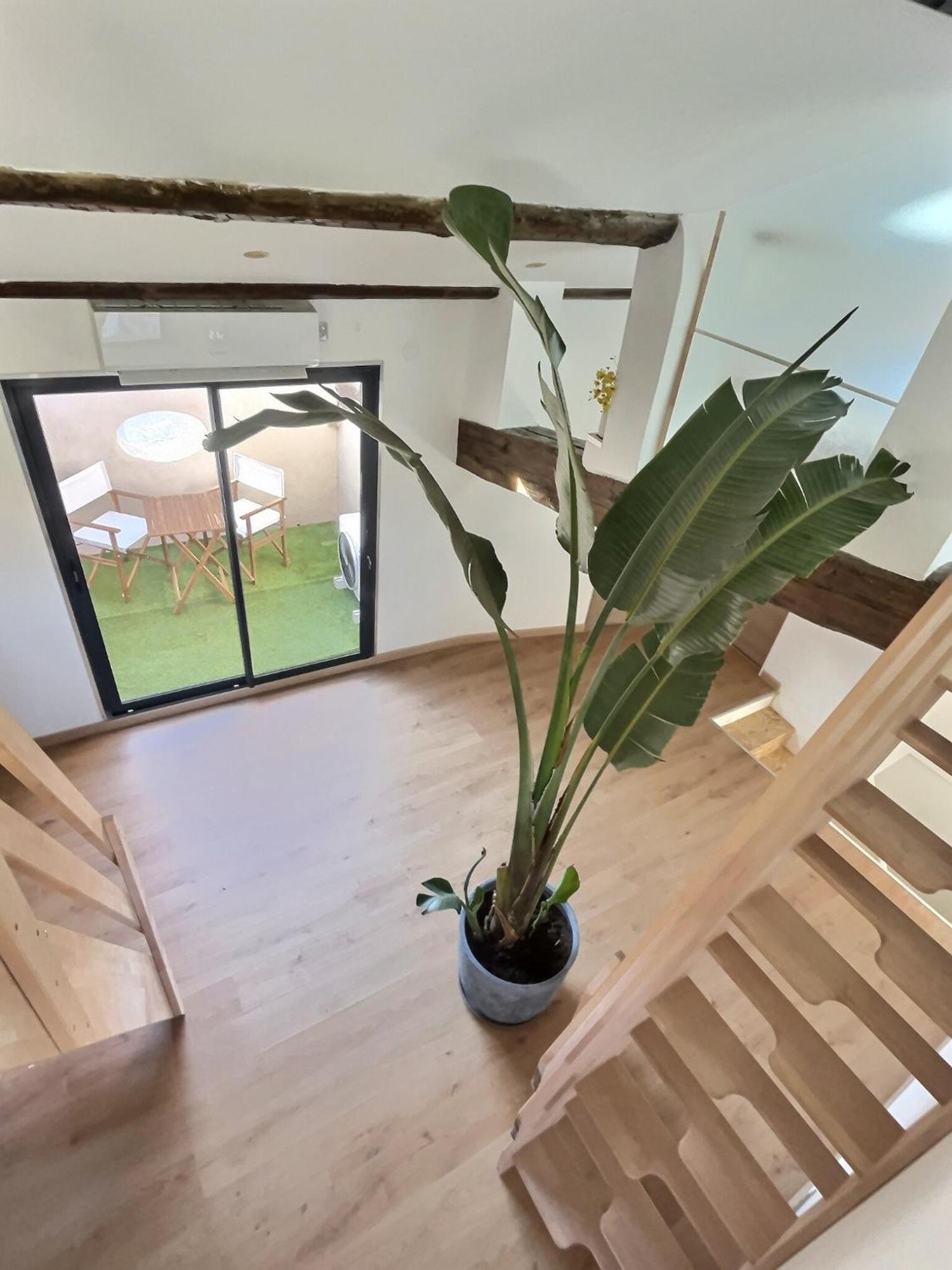Apartmán Jungle Loft Beziers Centre Exteriér fotografie