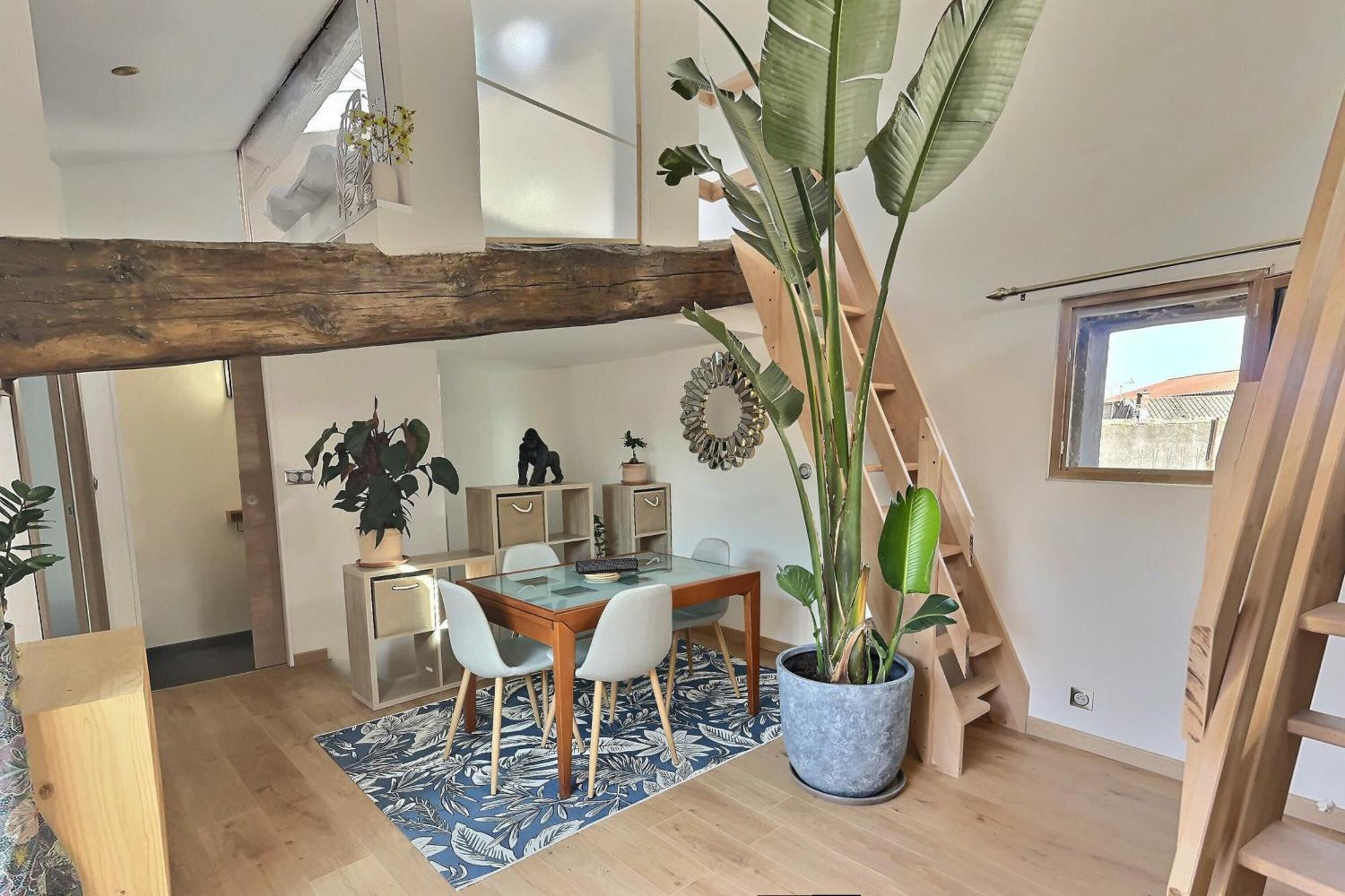 Apartmán Jungle Loft Beziers Centre Exteriér fotografie